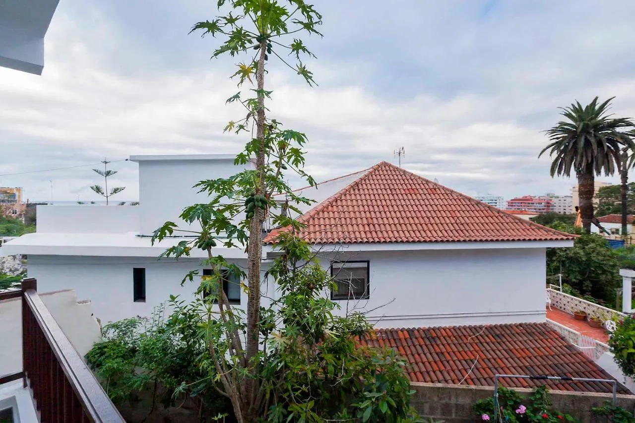 New Cozy Apartment Botanico Puerto de la Cruz  Puerto de la Cruz (Tenerife)